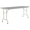 Correll 24" X 72" Gray Granite Thermal-Fused Laminate Top Folding Table With Gray Frame