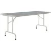 Correll 30" X 60" Gray Granite Thermal-Fused Laminate Top Folding Table With Gray Frame